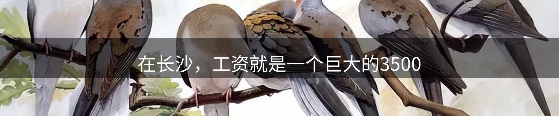 新闻趋势